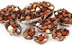 Ganache Chocolate - South Yarra - thumb 0