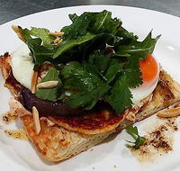 The Teal Turtle Cafe - Accommodation Newcastle