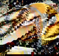 Cafe 3847 - Accommodation Newcastle