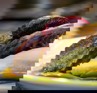 Griffith Exies Club - Accommodation Newcastle