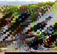 Pizzini Wines King Valley - Accommodation Newcastle