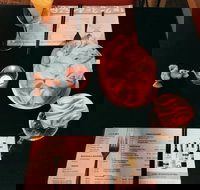 Sizzling Mongolian BBQ House - Taringa - Accommodation Newcastle