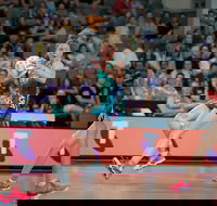 Yummy Golden Sands - Accommodation Newcastle