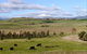Delatite Winery - thumb 0
