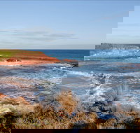 The Cape Kitchen - Accommodation Newcastle