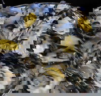 View 42o - Accommodation Newcastle