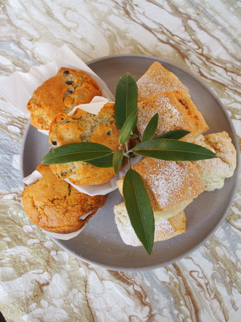 Paperbark Cafe At Kuranga Native Nursery - Accommodation Newcastle 1