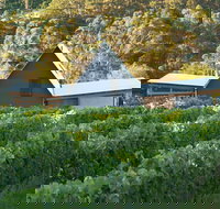 Two Bud Spur Vineyard - Accommodation Newcastle