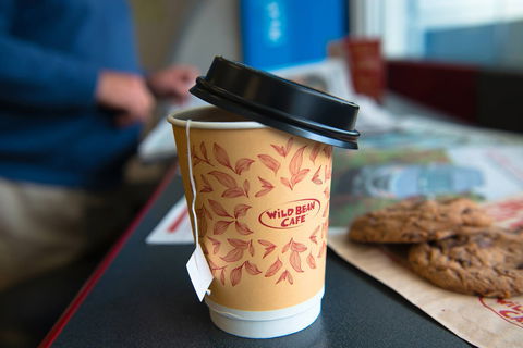 Wild Bean Cafe - Cronulla - Accommodation Newcastle 0