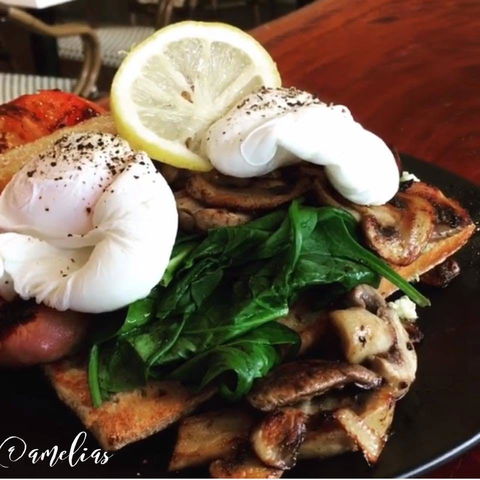 Amelia's Bakery - Accommodation Newcastle 0