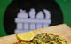 Real Food Organic Nutrition Bar - South Yarra - thumb 0