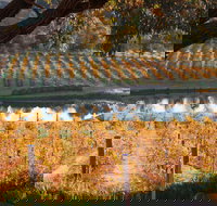 Sanguine Estate - Accommodation Newcastle