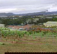 Villa d Esta Vineyard - Accommodation Newcastle