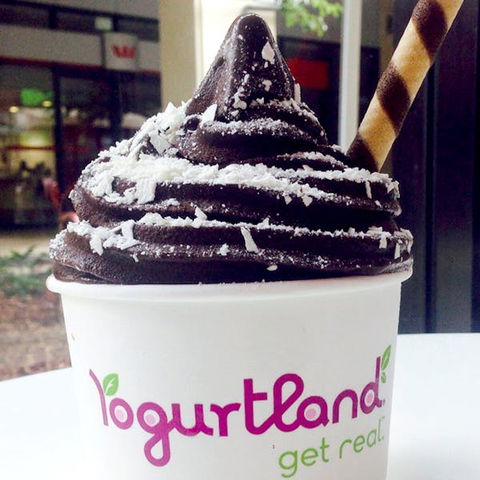 Yogurtland - Prairiewood - Accommodation Newcastle 0