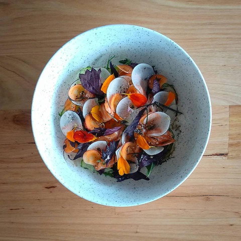 Pachinko - Accommodation Newcastle 0