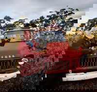The Shiraz Republic