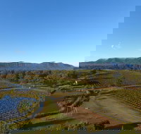 Mistletoe Winery - Accommodation Newcastle