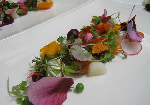 Bluebush Cafe - Accommodation Newcastle 13