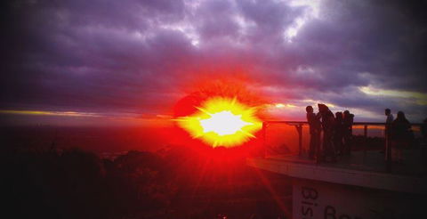 Bluebush Cafe - Accommodation Newcastle 28