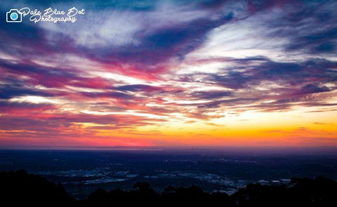 Bluebush Cafe - Accommodation Newcastle 29
