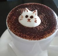Cafe 2340 - Accommodation Newcastle