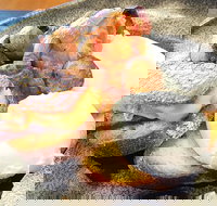 The Peak - Accommodation Newcastle