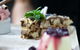 All' Antica Italian Restaurant & Pizzeria - thumb 19