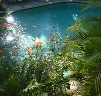 Avoca Beach Hotel - Accommodation Newcastle