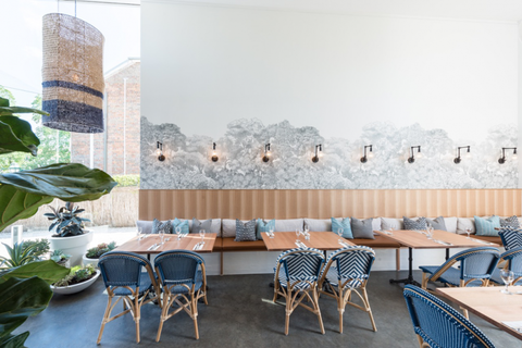 Ludo - Accommodation Newcastle 1