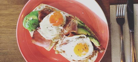 New Shanghai Lemon Grove Chatswood - Accommodation Newcastle 1