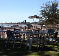 Darwin Ski Club - Little Miss Chef - Accommodation Newcastle
