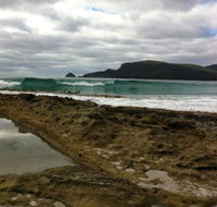 Bruny Island Berry Farm - Accommodation Newcastle