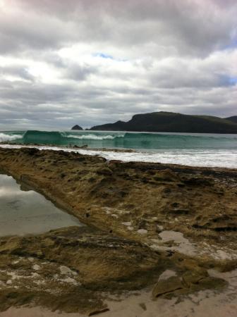 Bruny Island Berry Farm - Accommodation Newcastle 0