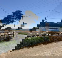 Penguin  Pardalote Coffee House - Accommodation Newcastle