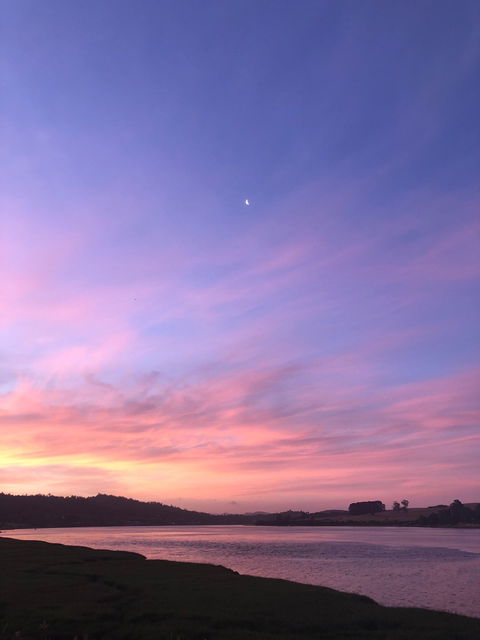 Rosevears Hotel - Accommodation Newcastle 1