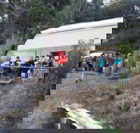 The Bay Fish - Accommodation Newcastle