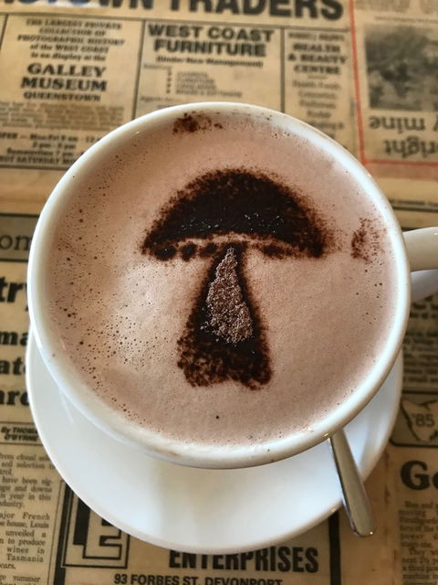 The Mushroom At Waratah - Accommodation Newcastle 9