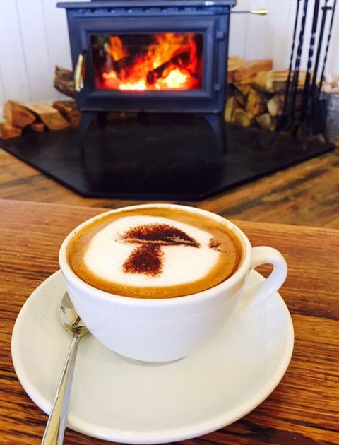 The Mushroom At Waratah - Accommodation Newcastle 5
