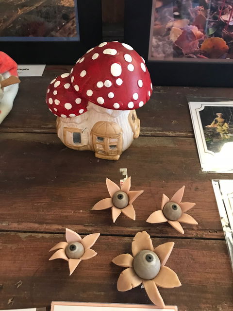 The Mushroom At Waratah - Accommodation Newcastle 7
