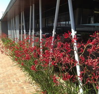 BiteZ - Accommodation Newcastle