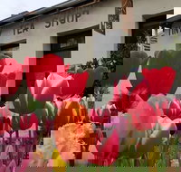 Tiny Tea Shop - Accommodation Newcastle