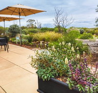 Arid Lands Botanic Garden Cafe - Accommodation Newcastle