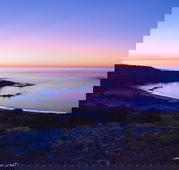 Howling Dog Tavern - Accommodation Newcastle