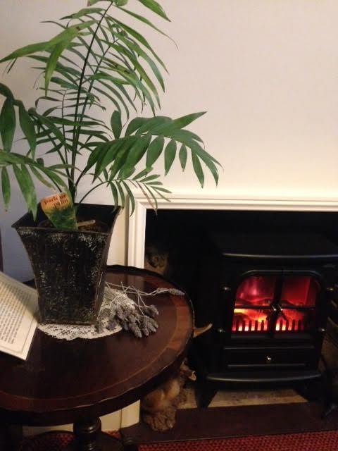 Palm Court Cafe Mannum SA - Accommodation Newcastle 8