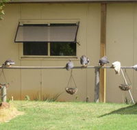 Sandy Grove - Accommodation Newcastle