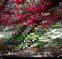 The Bridgewater Inn - Accommodation Newcastle