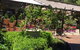Vines Restaurant At Limberlost Nursery - thumb 4