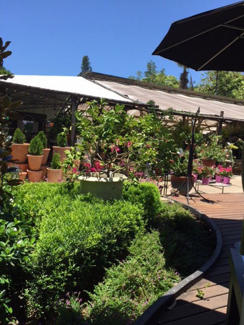 Vines Restaurant At Limberlost Nursery - Accommodation Newcastle 4