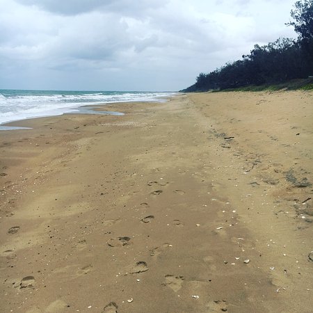 South Kolan QLD Accommodation Newcastle