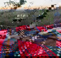 Bunnyconnellen Olive Grove  Vineyard - Accommodation Newcastle